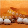 Order  Easter Ribbon - Daisy